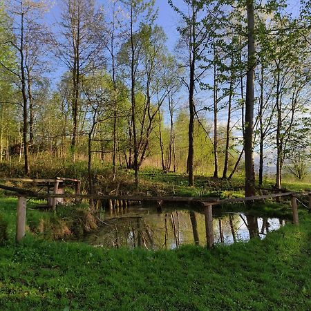 Agroturystyka Zielona Dolinka Stryszow Exteriér fotografie