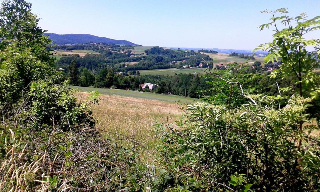 Agroturystyka Zielona Dolinka Stryszow Exteriér fotografie