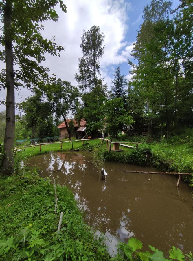 Agroturystyka Zielona Dolinka Stryszow Exteriér fotografie