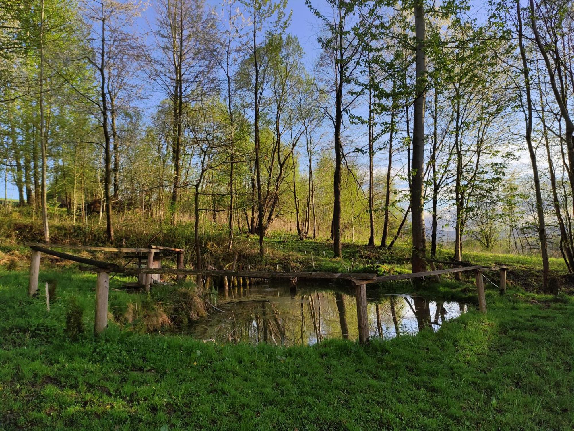 Agroturystyka Zielona Dolinka Stryszow Exteriér fotografie